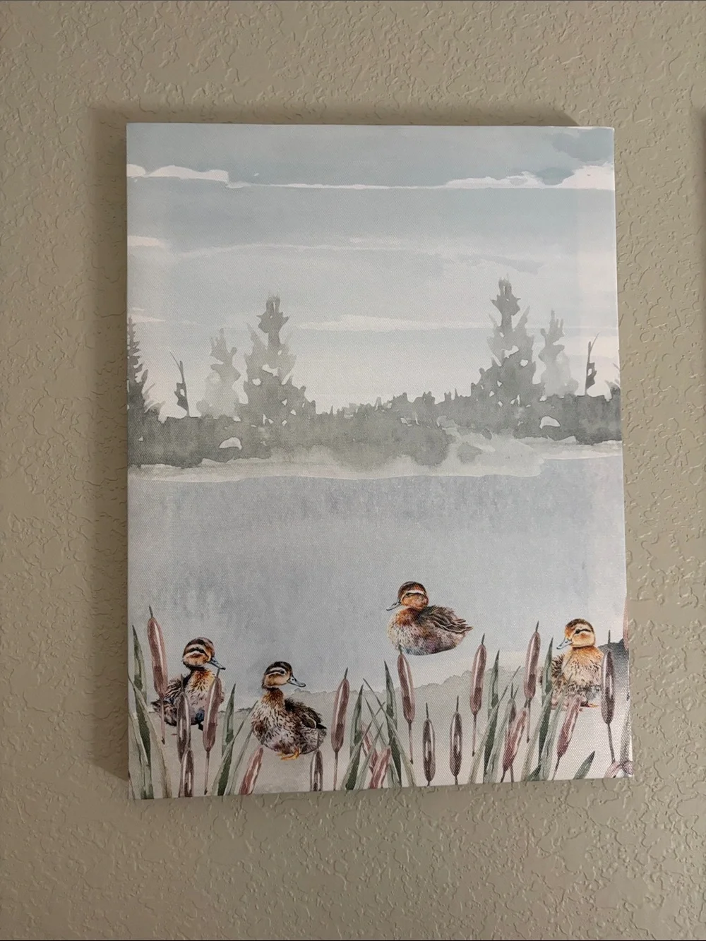 Mallard Canvas Wall Art