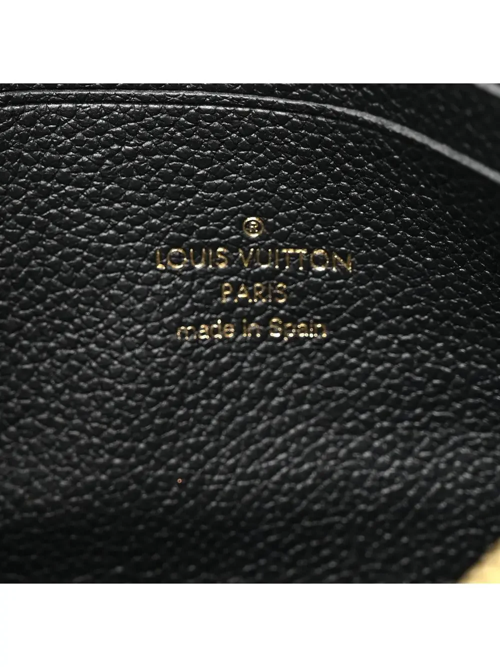 Louis Vuitton introducing louis
