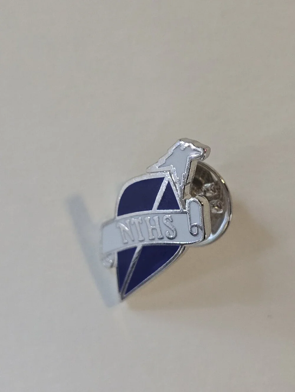 NTHS Navy and Silver Enamel Lapel Pin