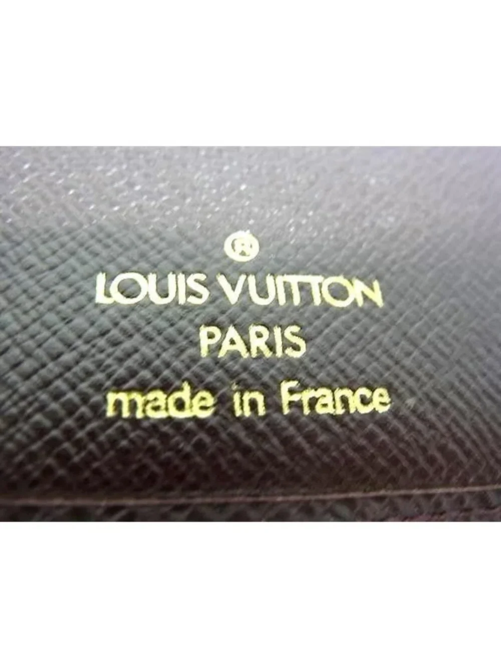 Louis Vuitton brand louis