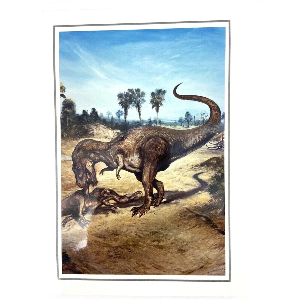 N/A lot prehistoric