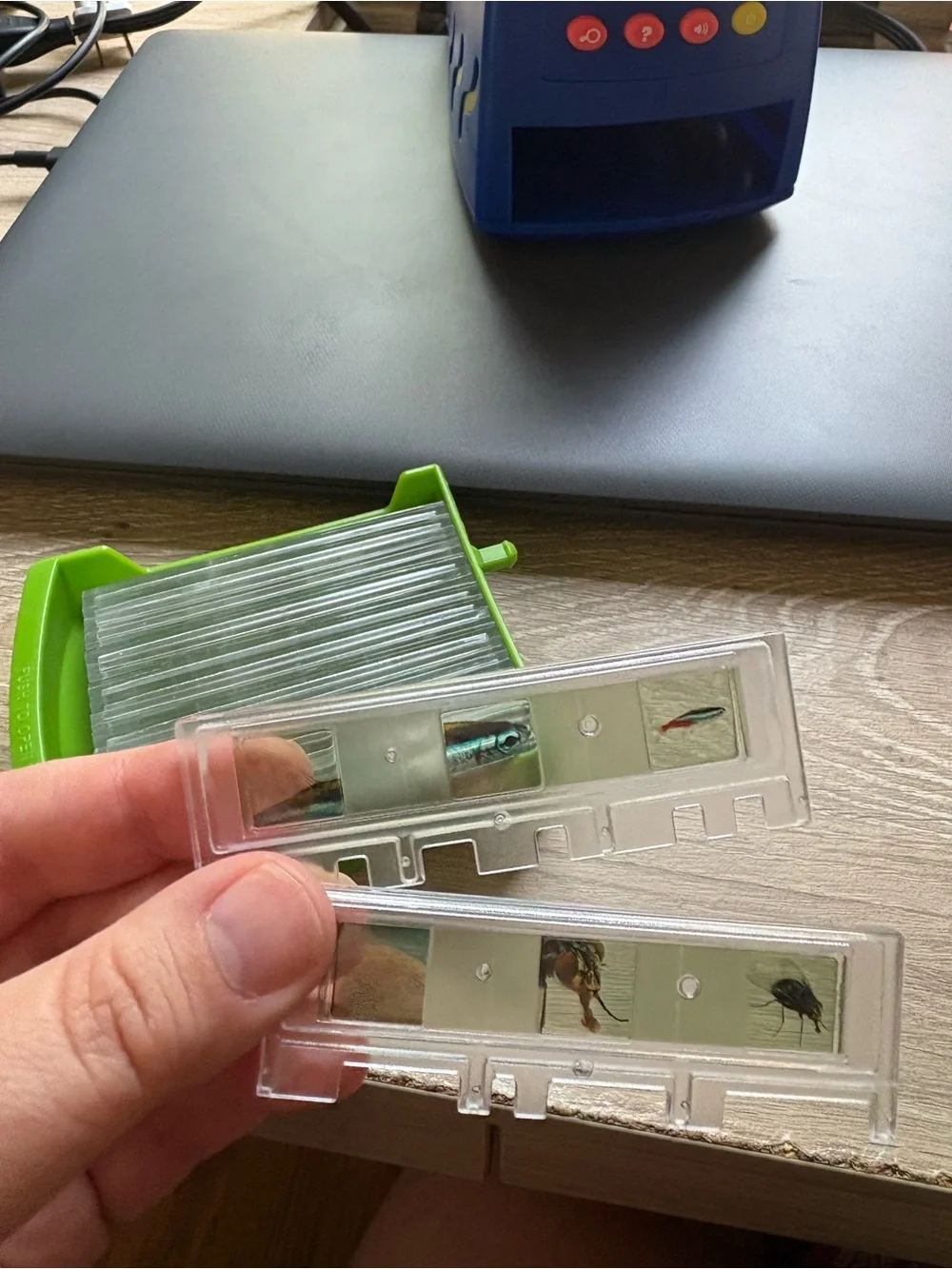 GeoSafari children’s microscope