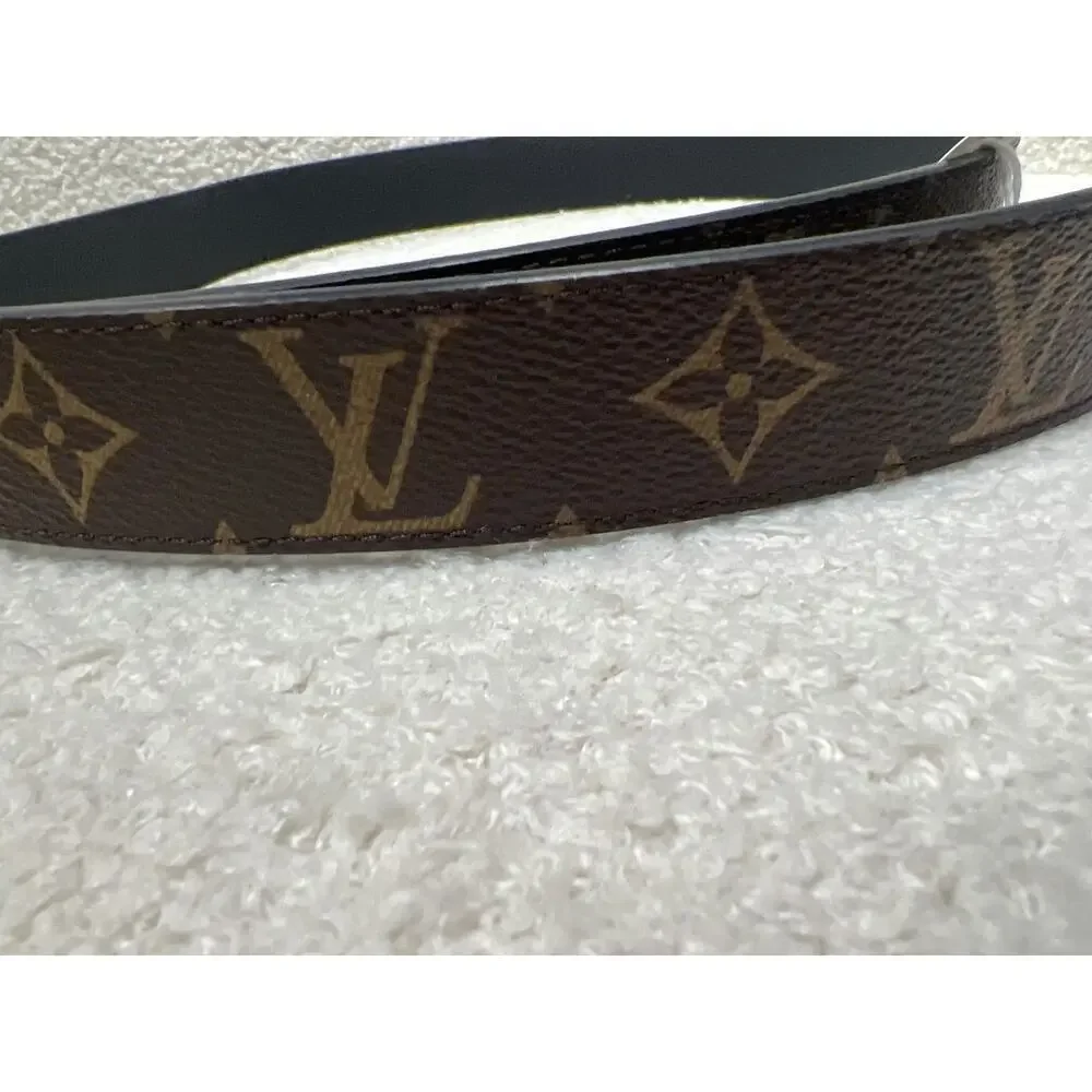 Louis Vuitton brand louis