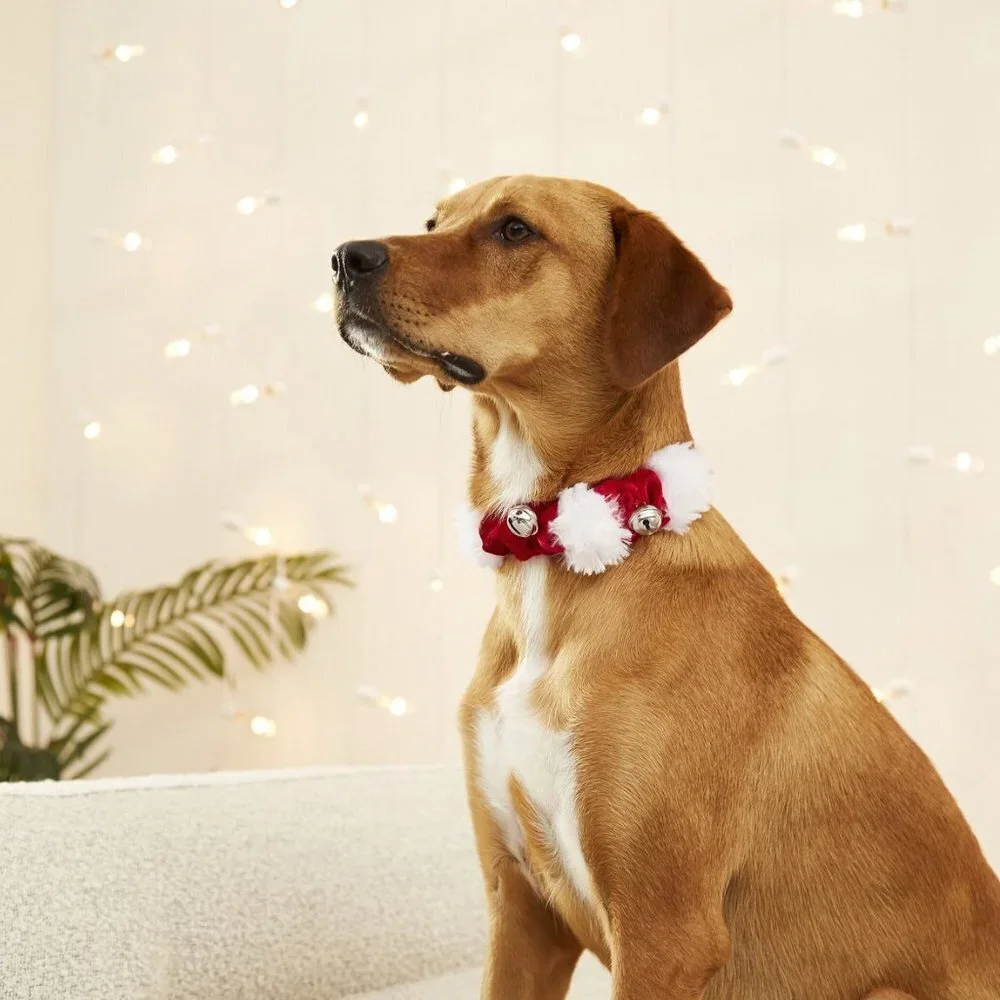 Target dogs or