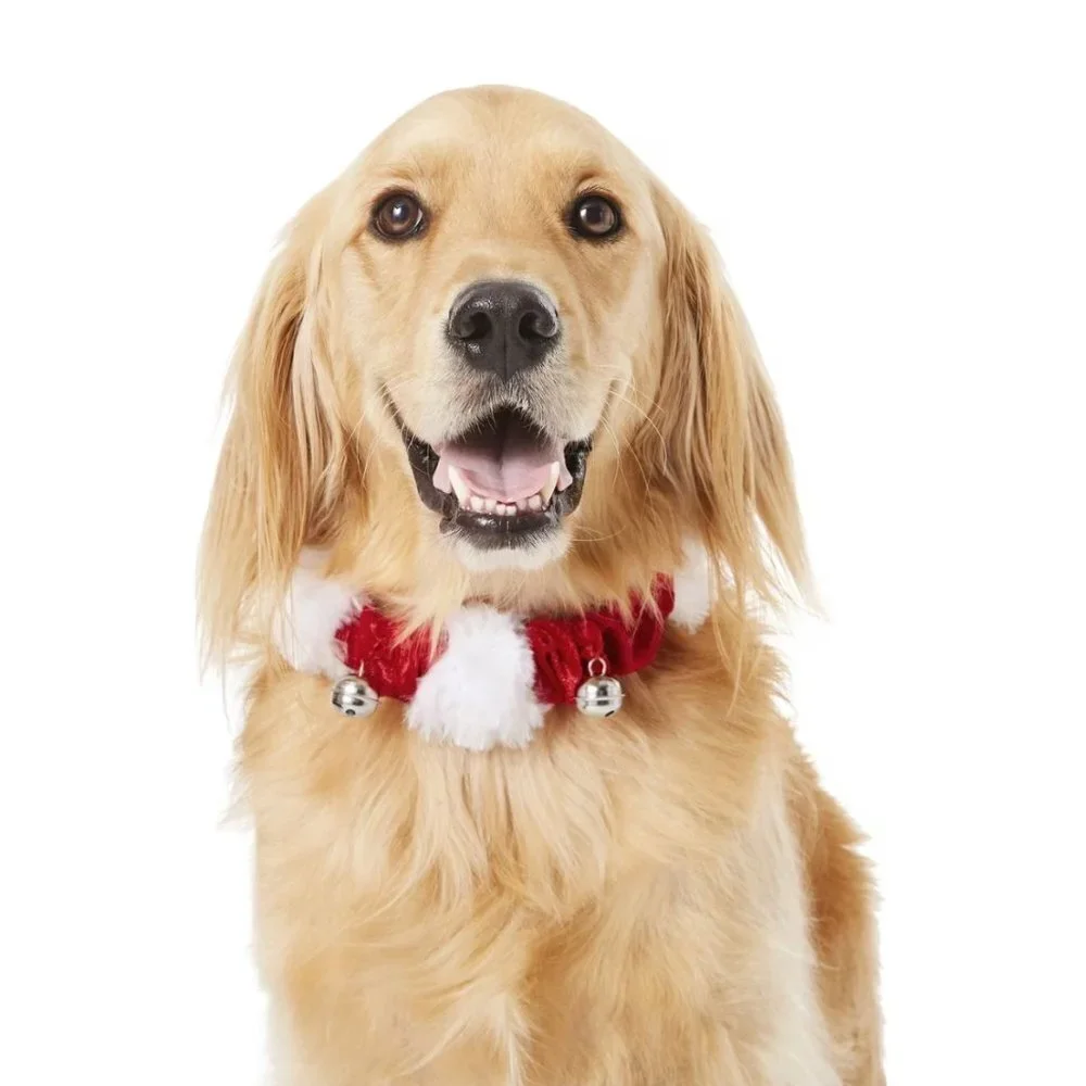Target dogs or