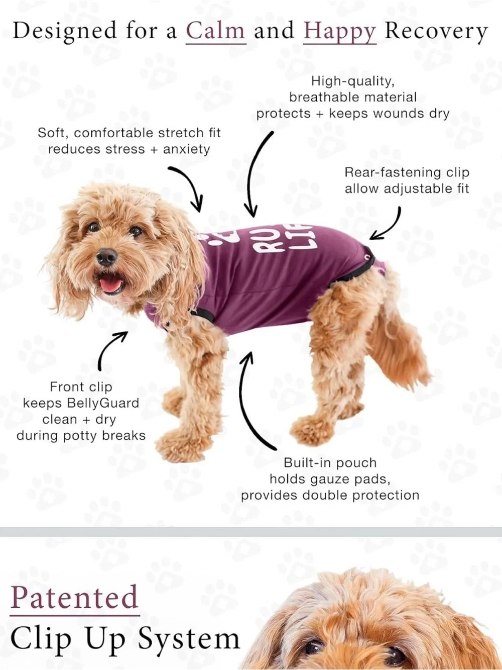 BellyGuard veterinarian recommended