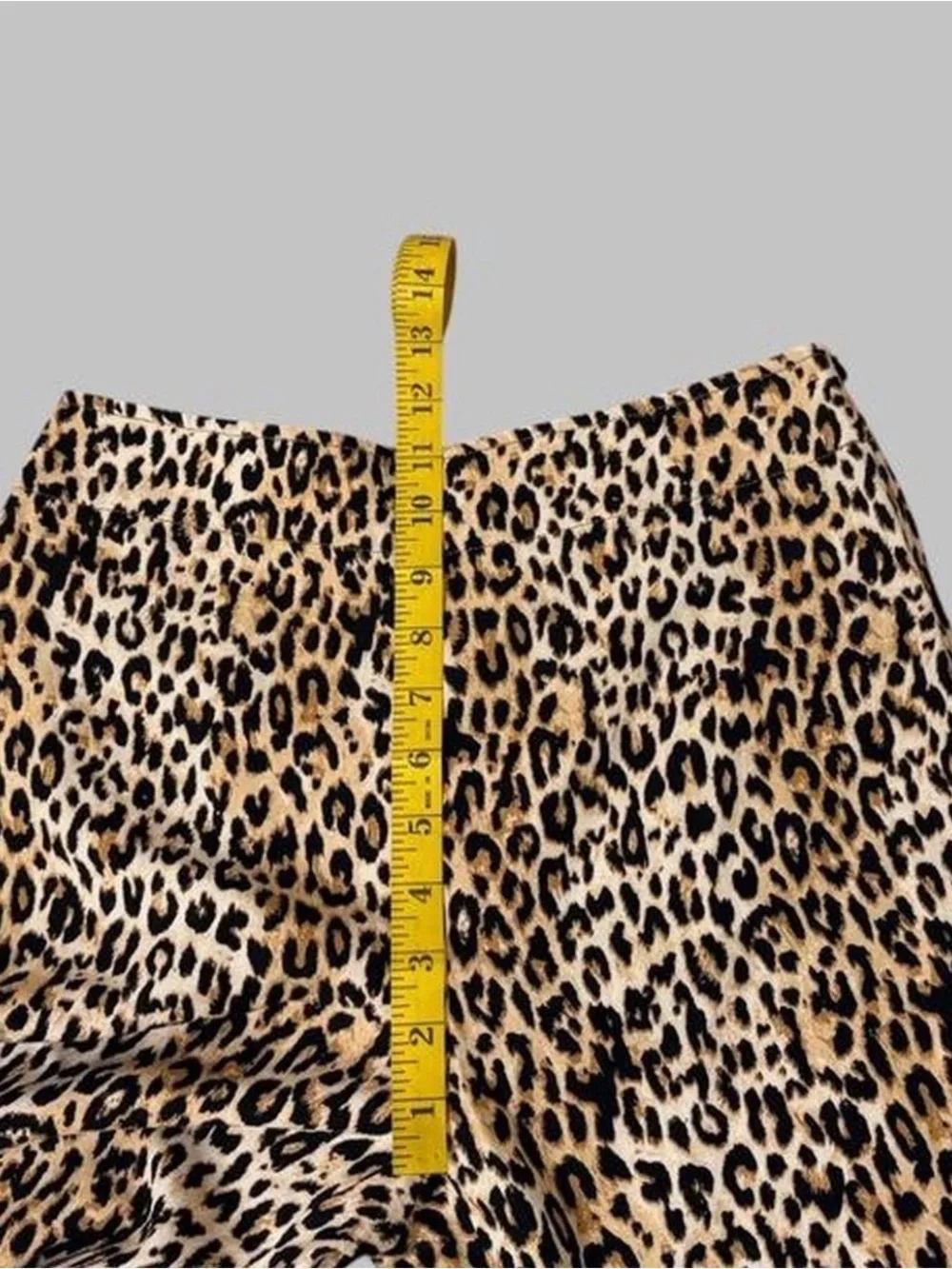 Zara Leopard Print Pants