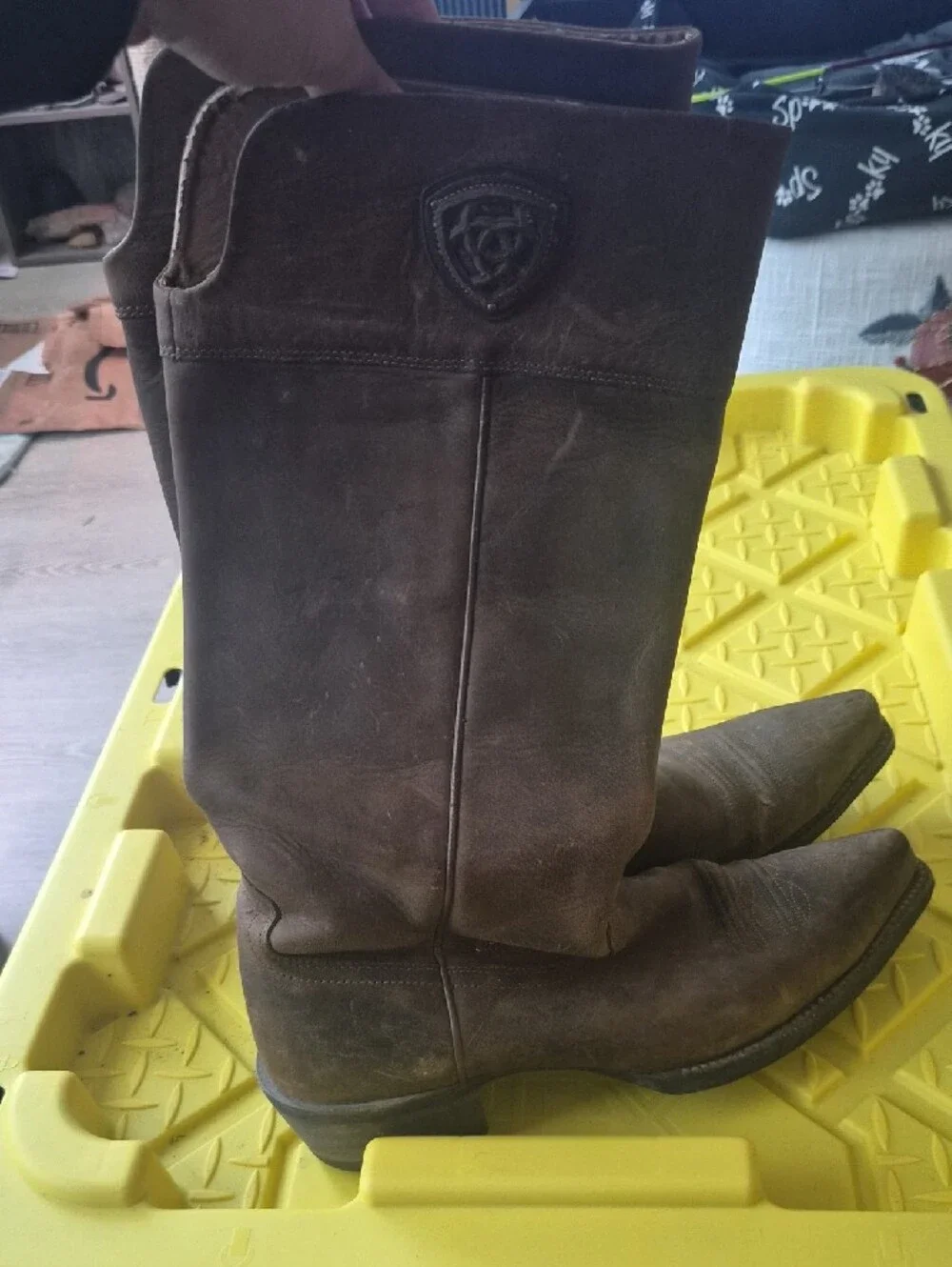 Ariat classic women
