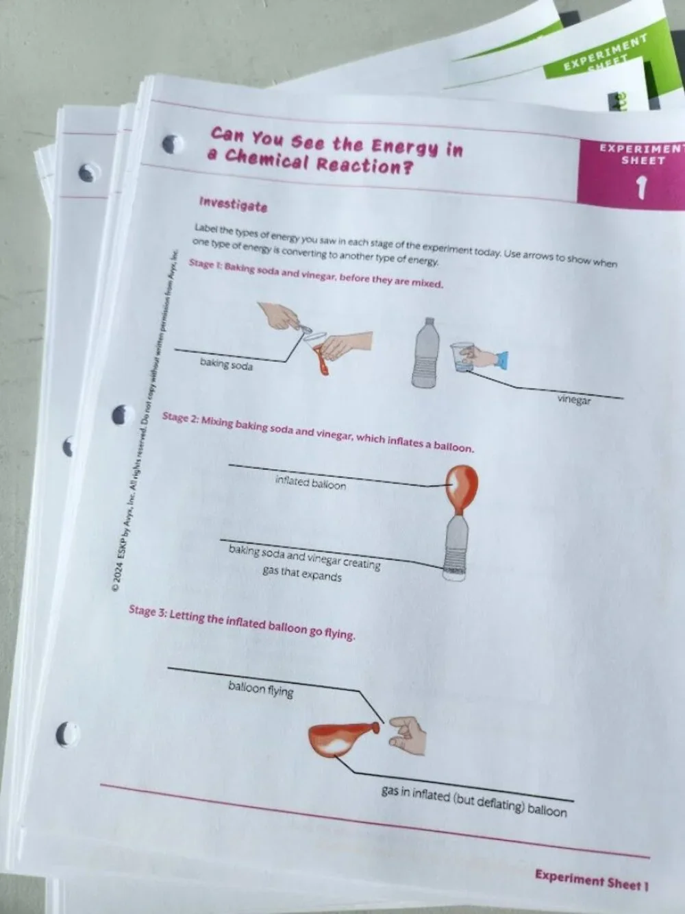 NEW BookShark Book Shark Science E Experiment Paper Packet Worksheets Homeschool