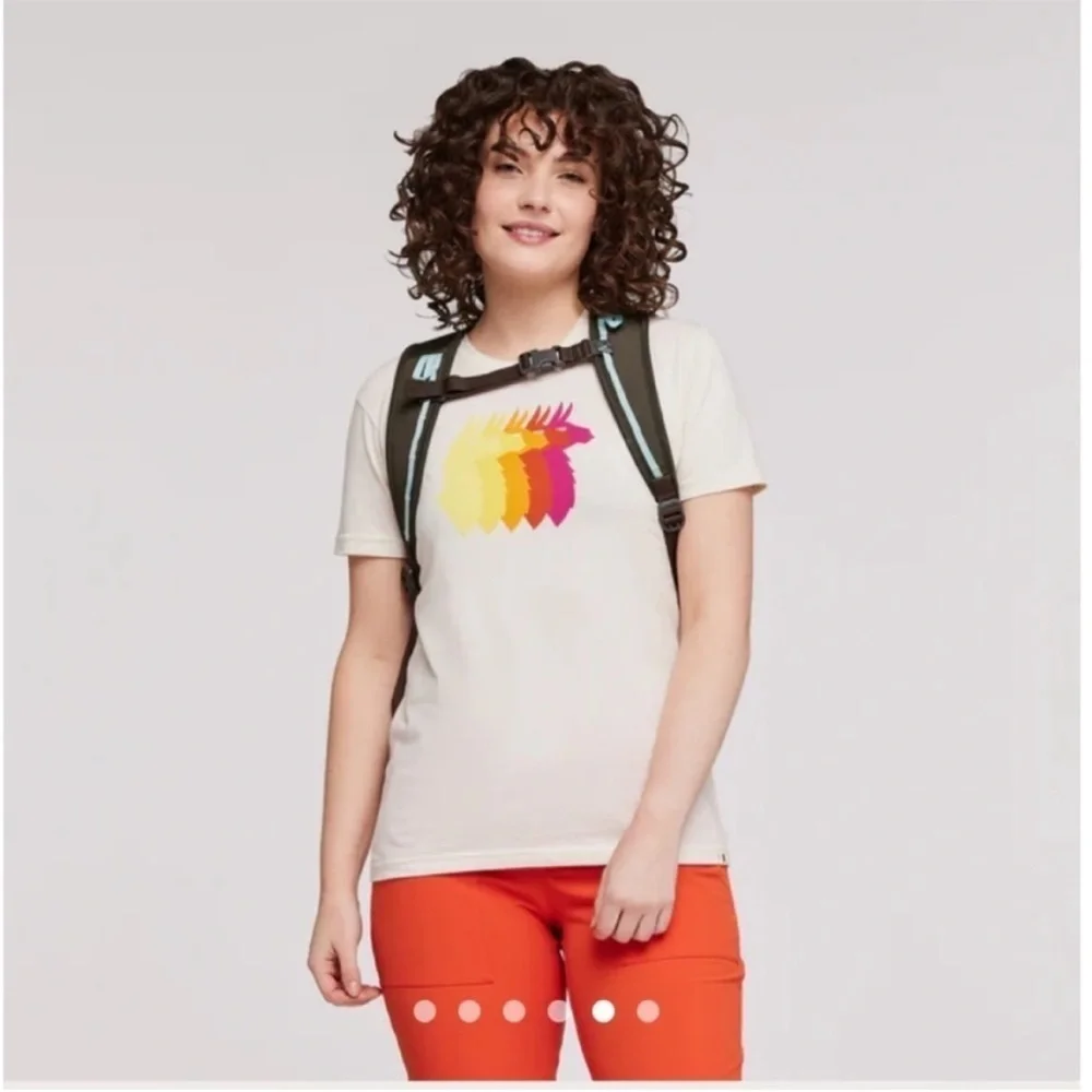 cotopaxi panel take