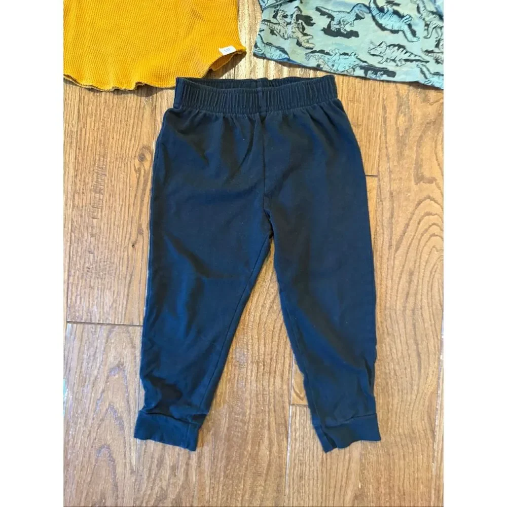 GAP brand cat