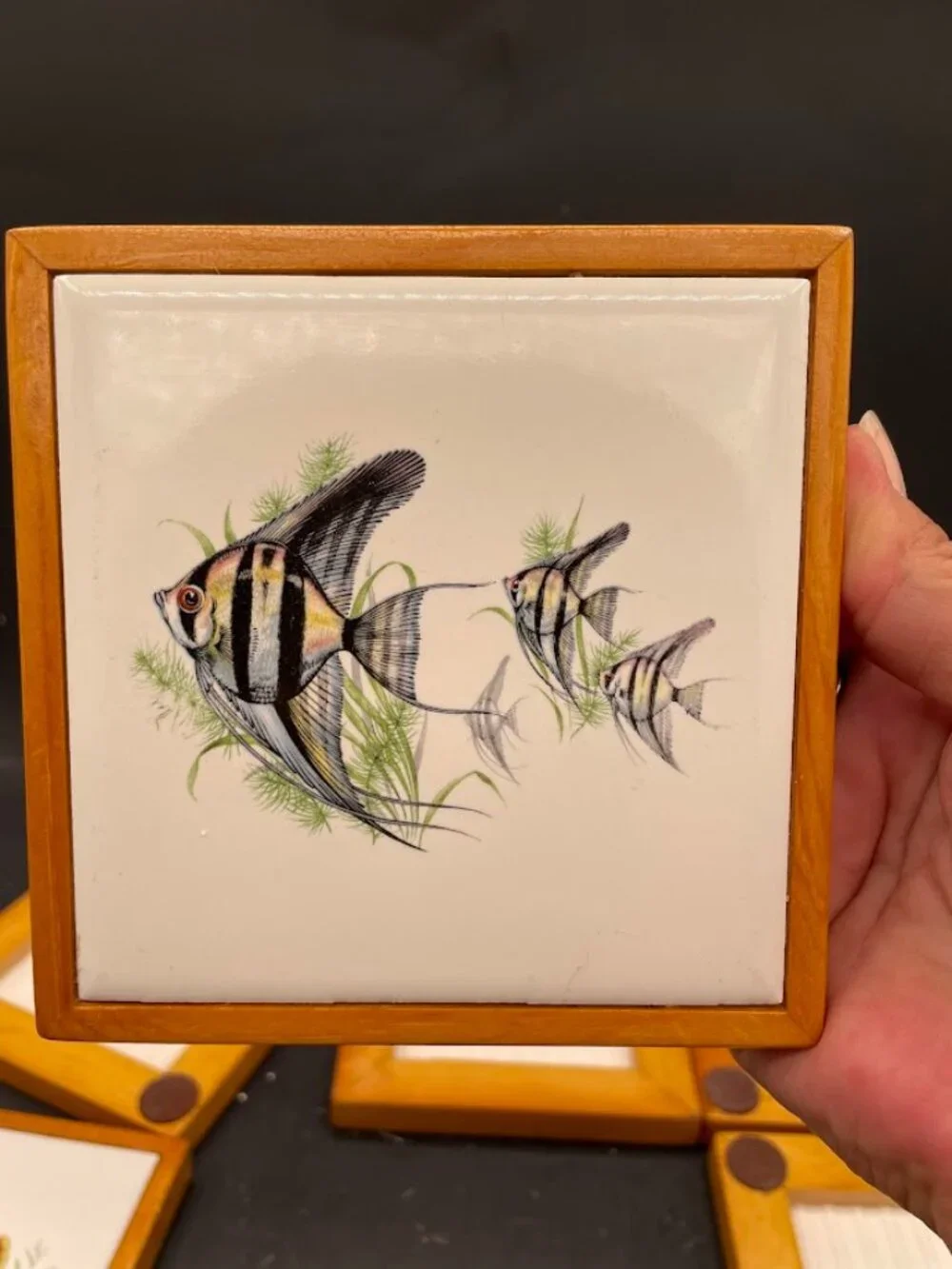 N/A fish one