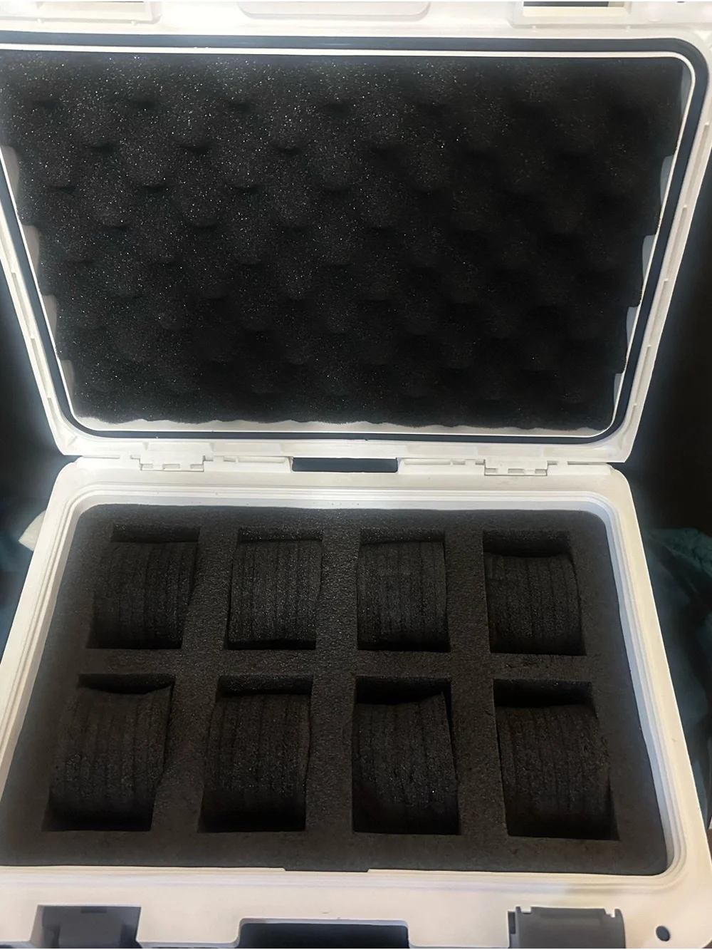 Invicta branded case