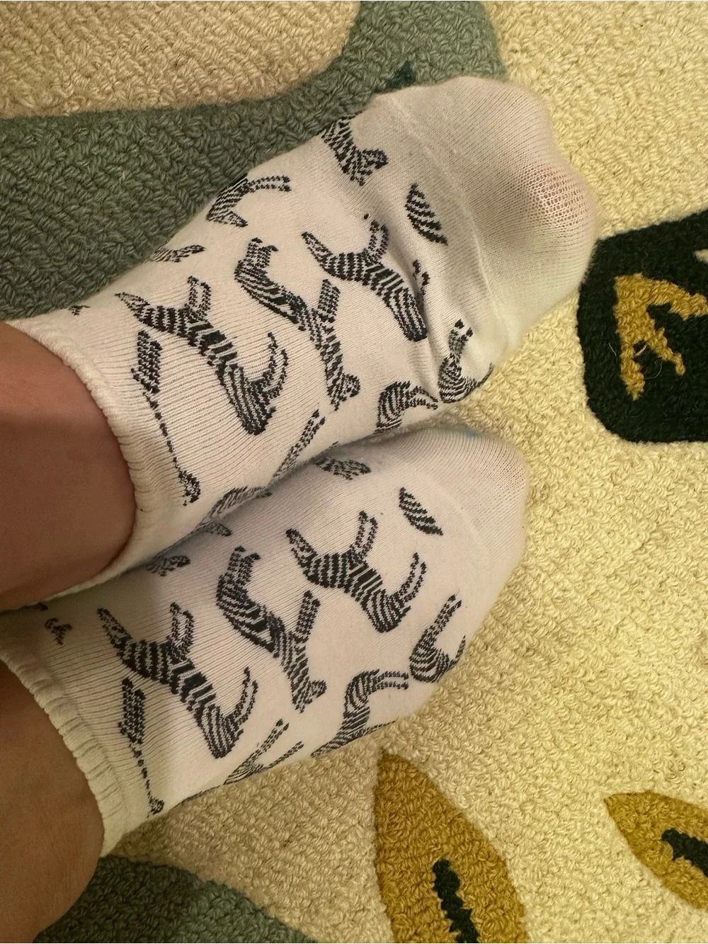 Hot socks zebra socks