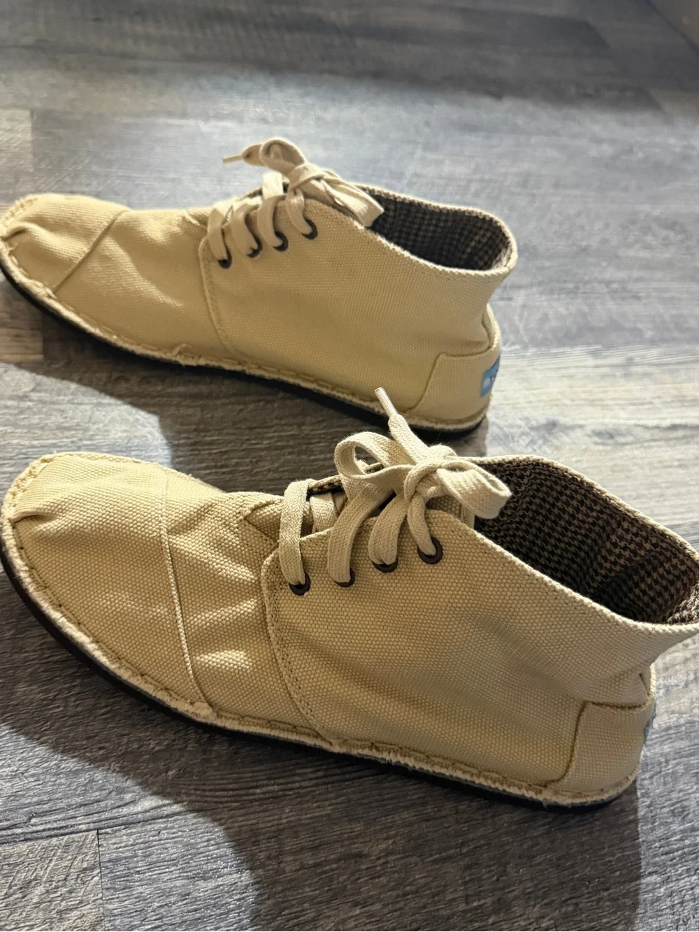 Toms classic canvas