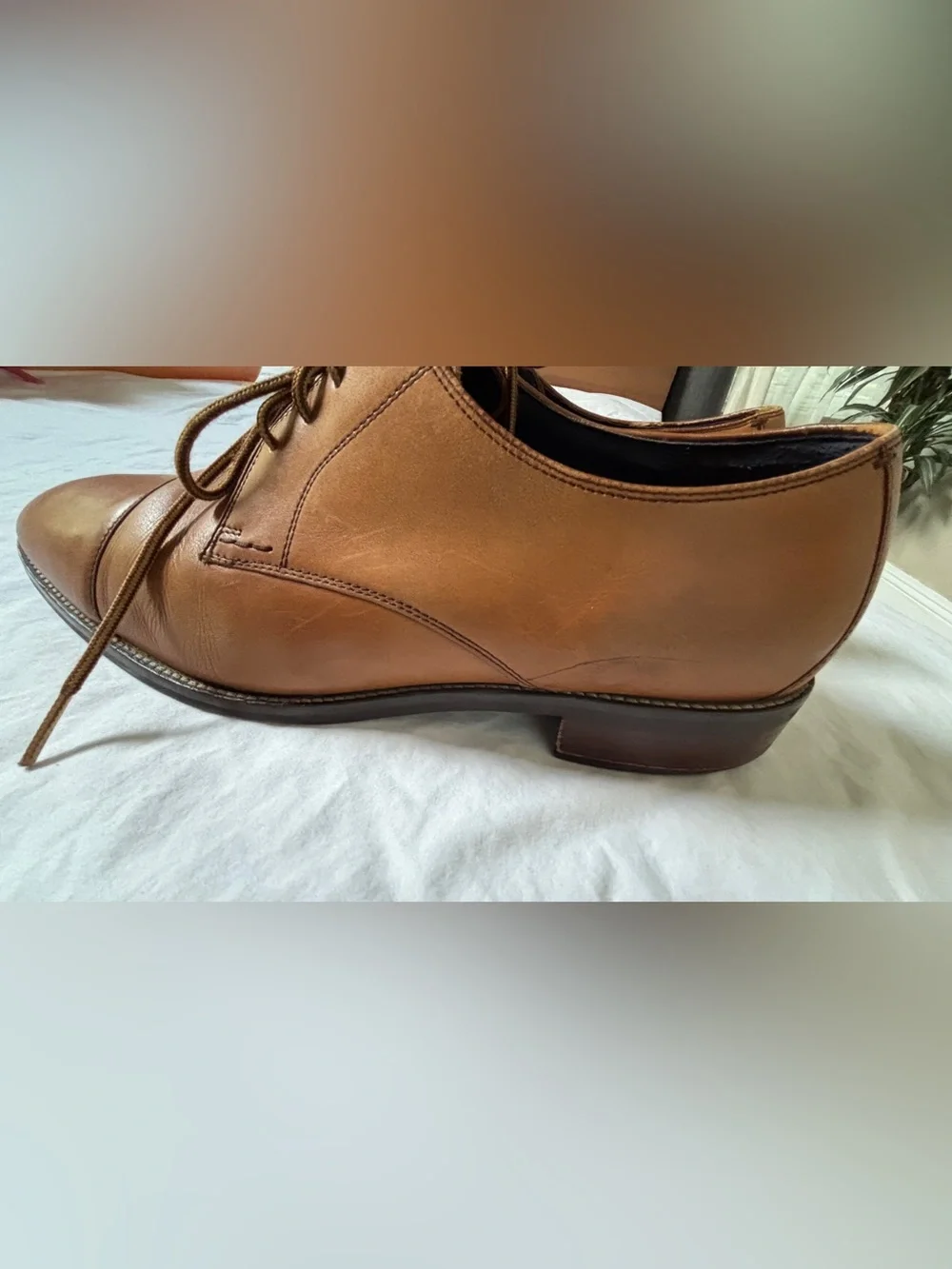 Cole Haan Men’s 14M Brown Leather Cap Toe Oxford Dress Shoes Lace Up