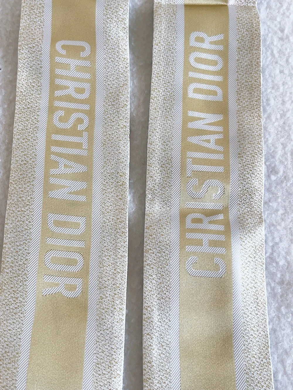 Dior Jardin D’hiver Mitzah Silk Scarf
