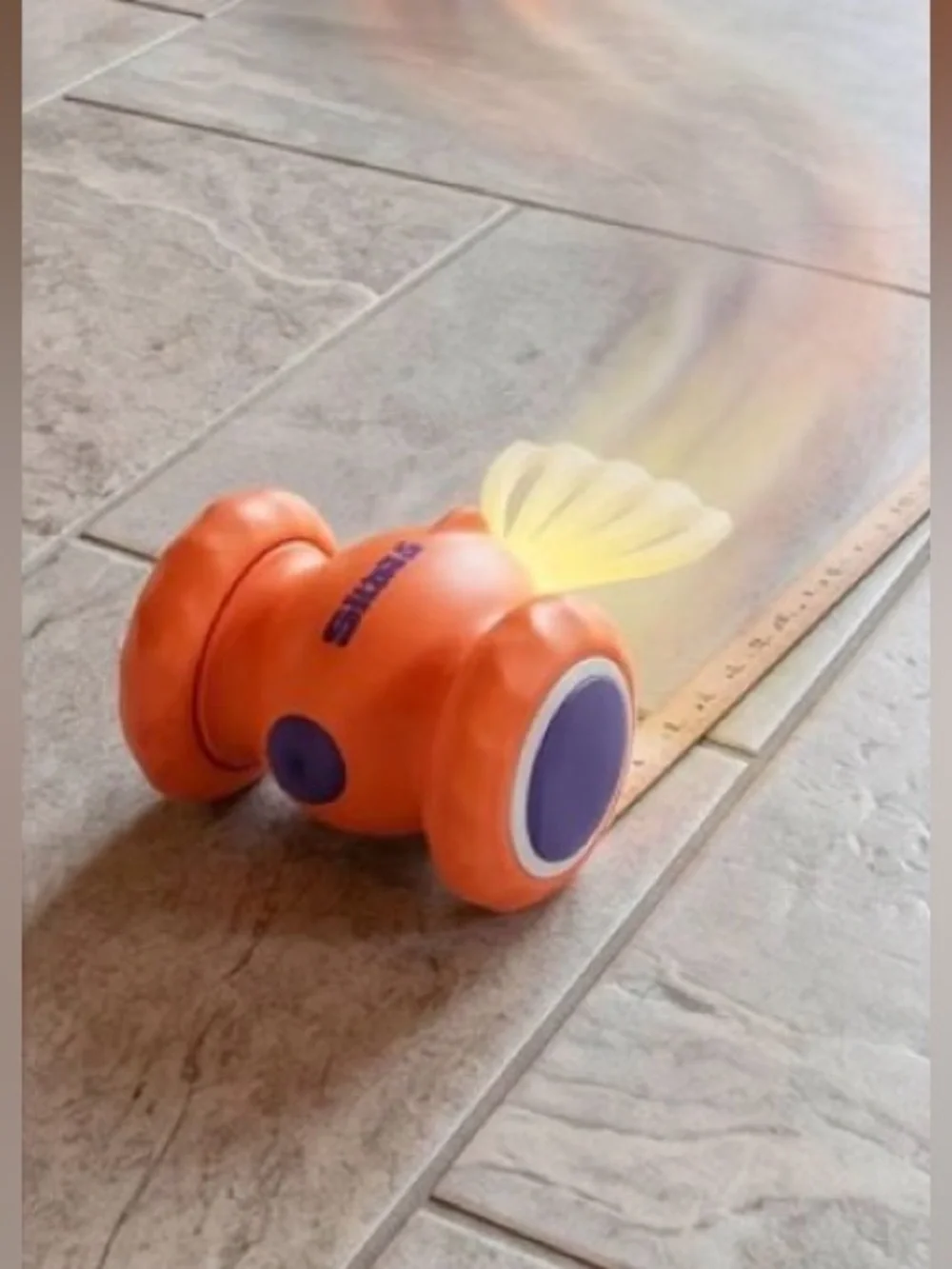 Shasii running moving