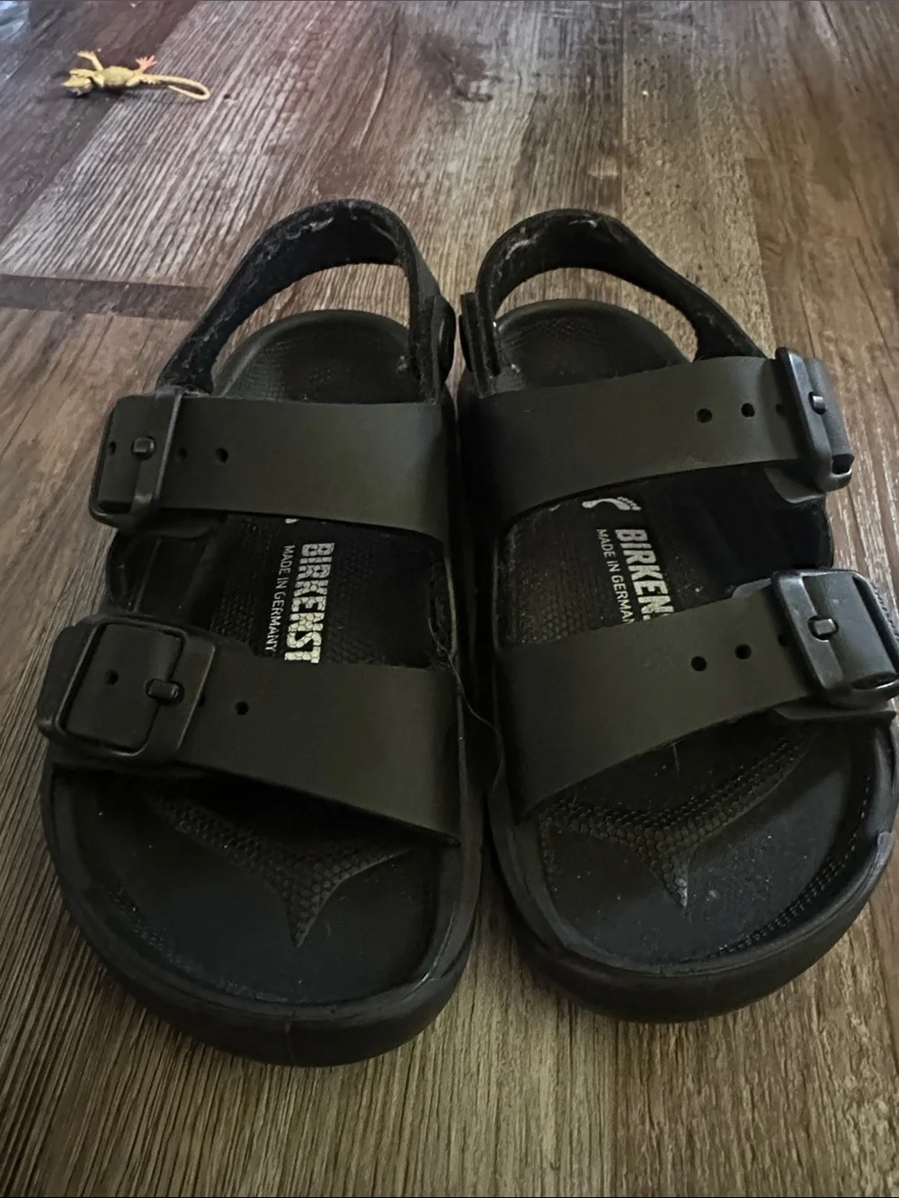 Birkenstock classic kids