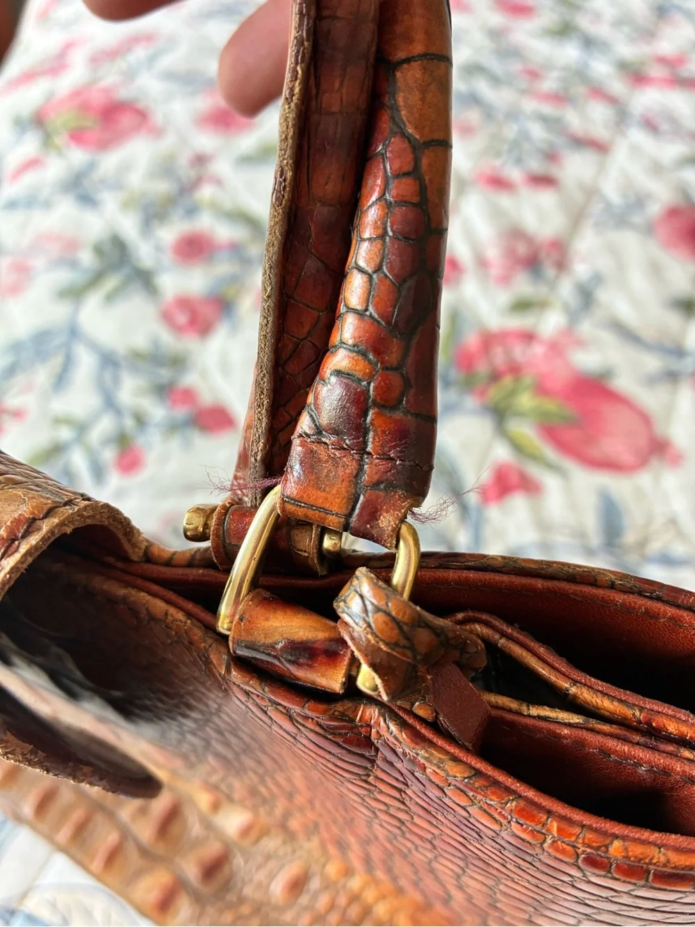 Brahmin structured croc