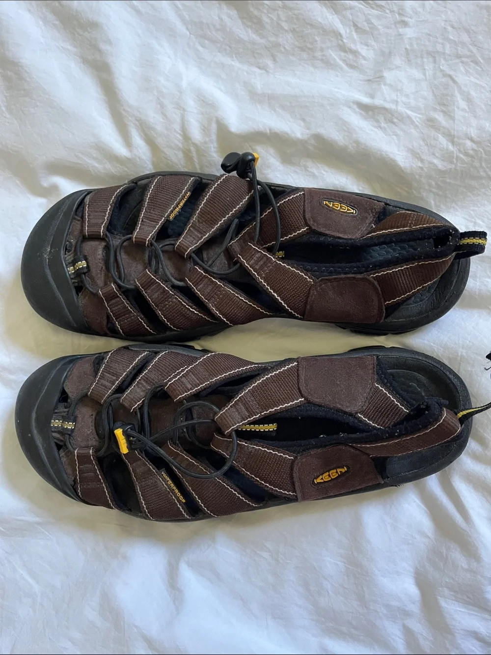 Keen one back