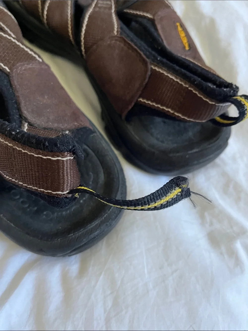 Keen one back