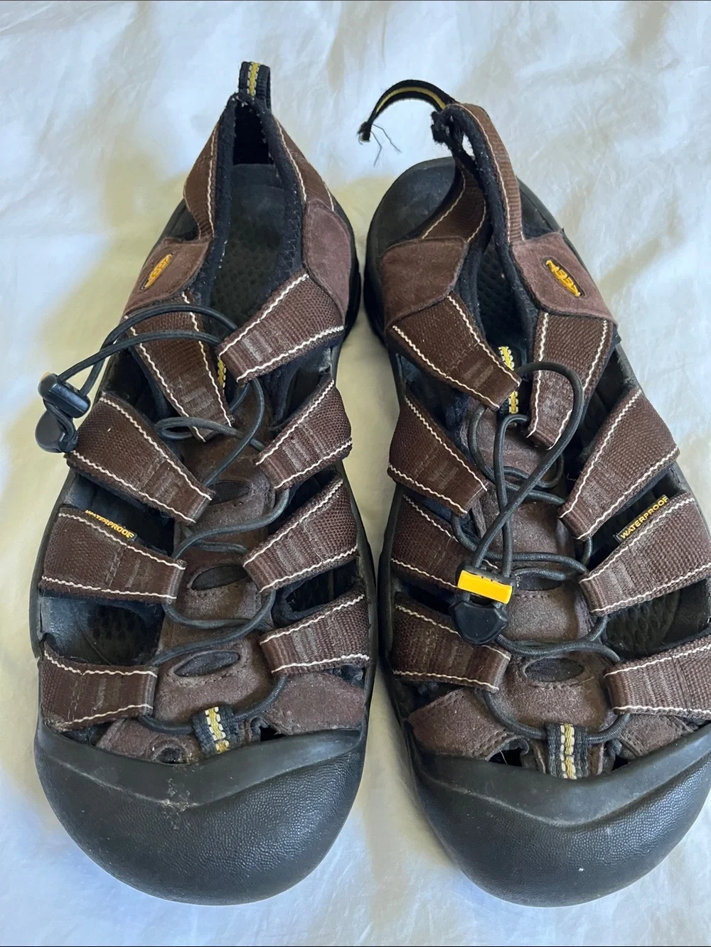 Keen one back
