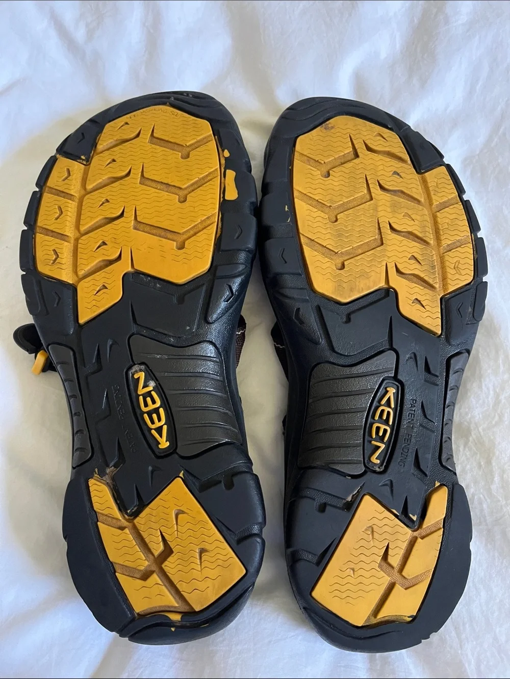 Keen one back