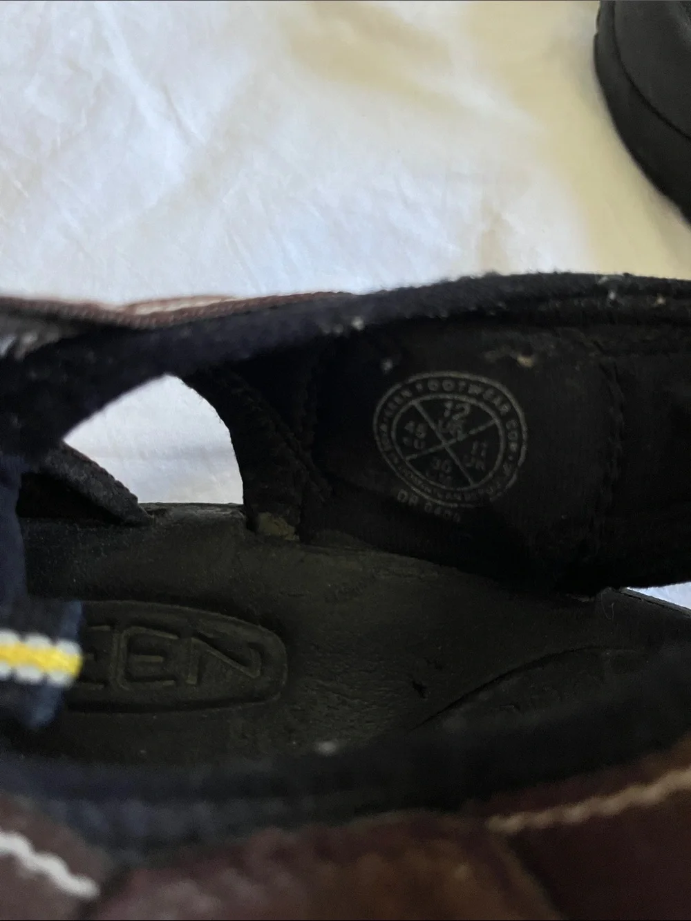 Keen one back