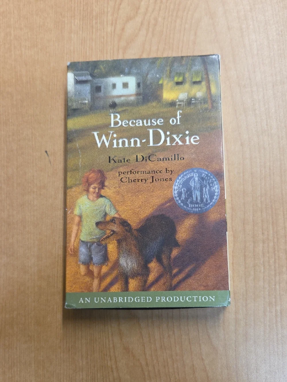 winn dixie dixie main place