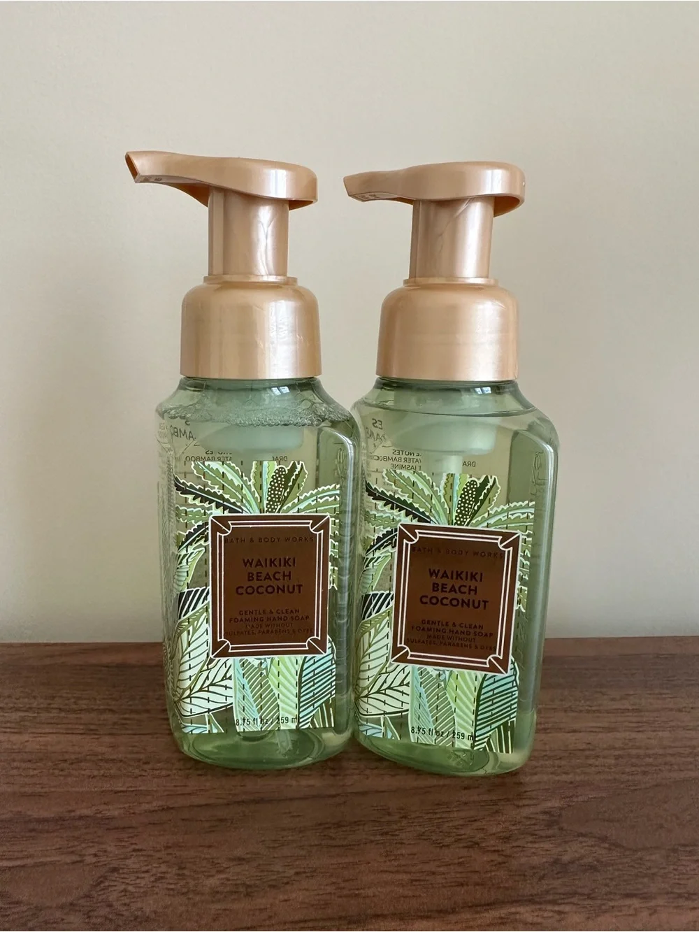 Bath & Body Works Waikiki Beach Coconut Foaming Hand Soap duo