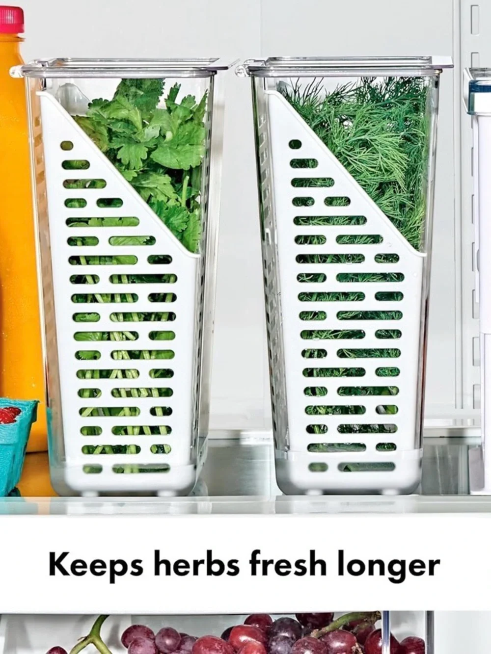 Oxo keeps fresh
