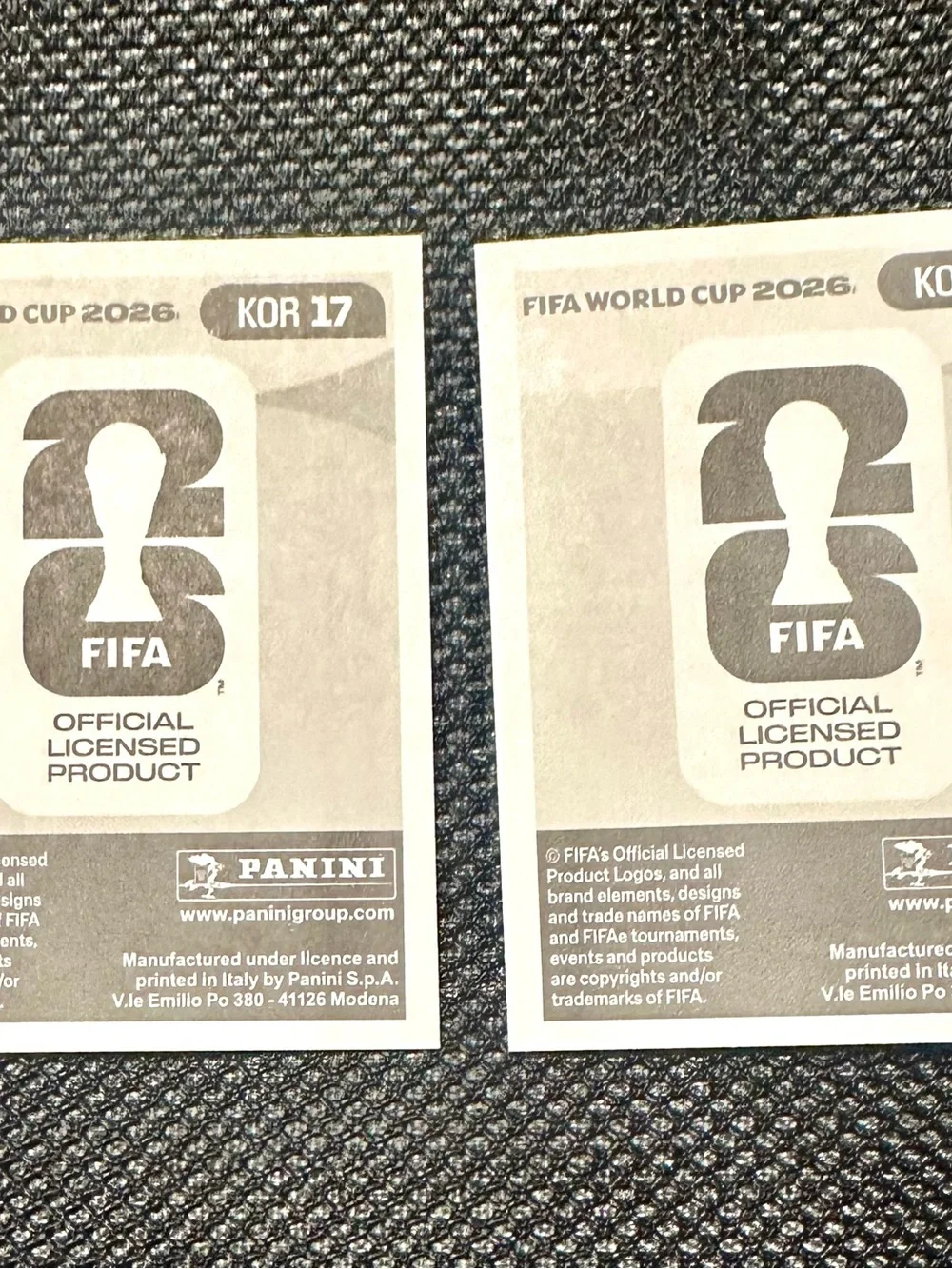 Panini fifa world