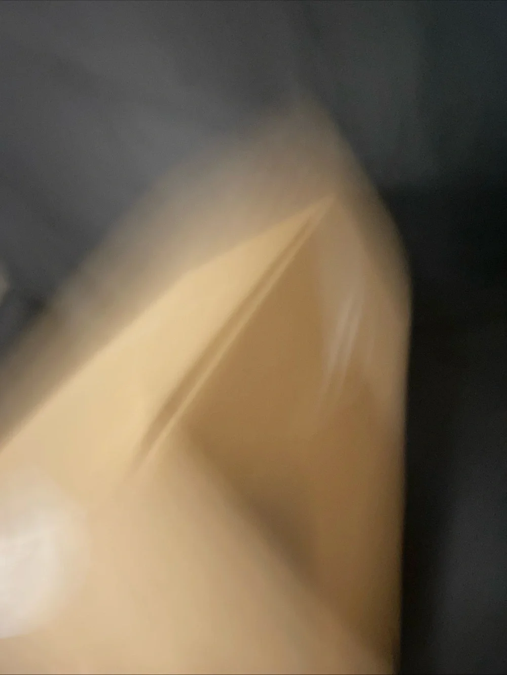Nisolo canvas dust