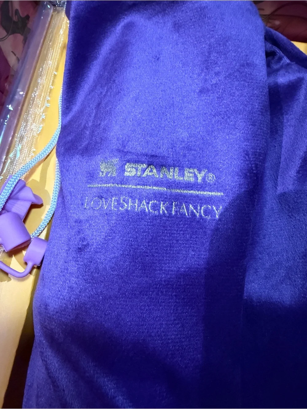 Dragon Ball Z LoveShackFancy Purple Stanley Velvet Drawstring Pouch
