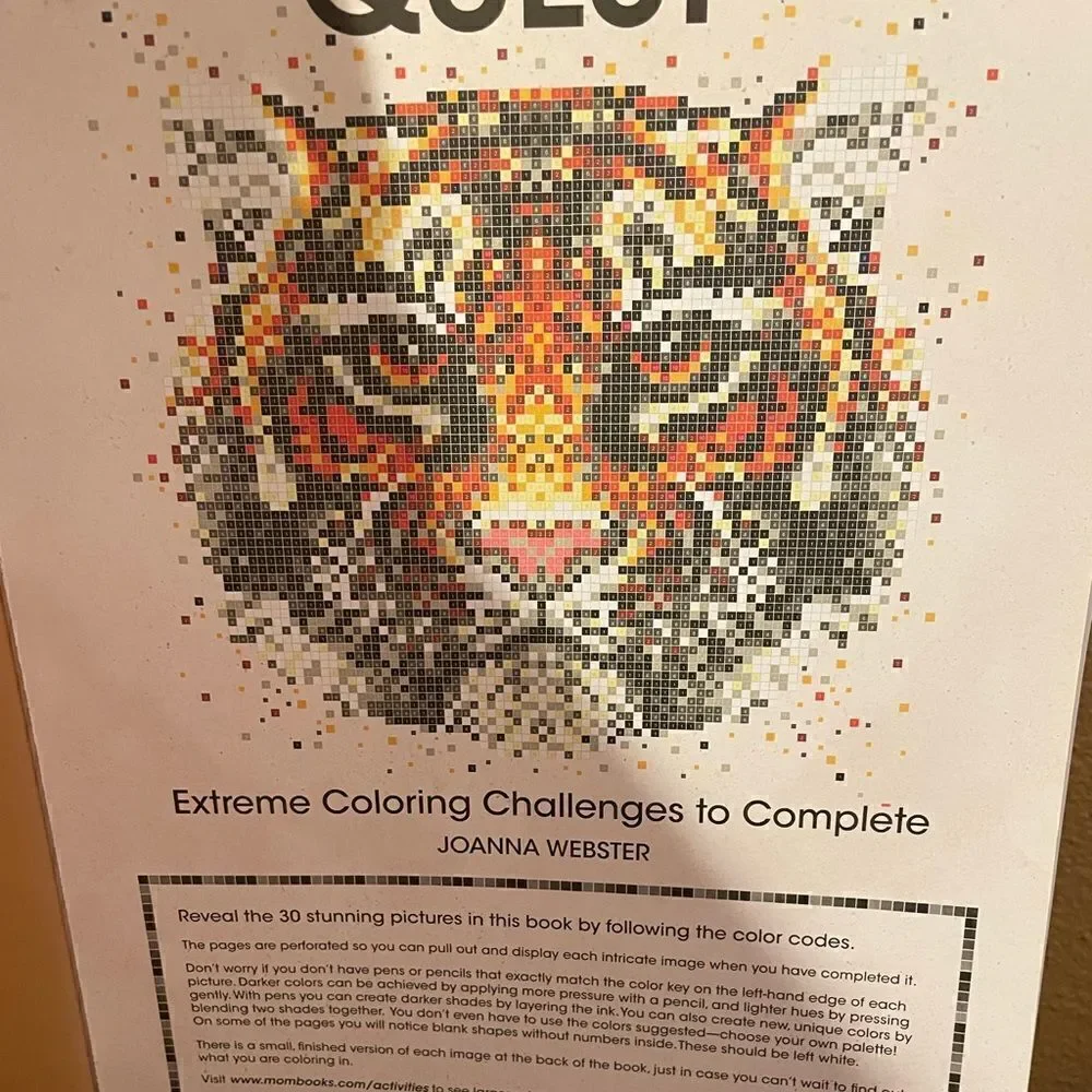 Color Quest Johanna Webster Color By Numbers 11x14 Coloring Book
