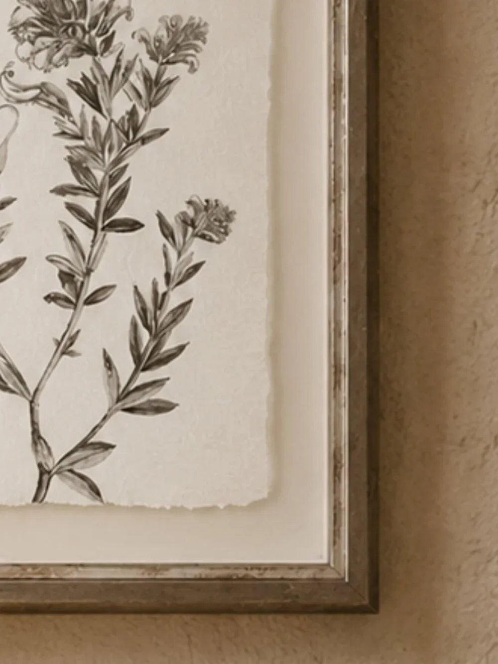 N/A botanical study