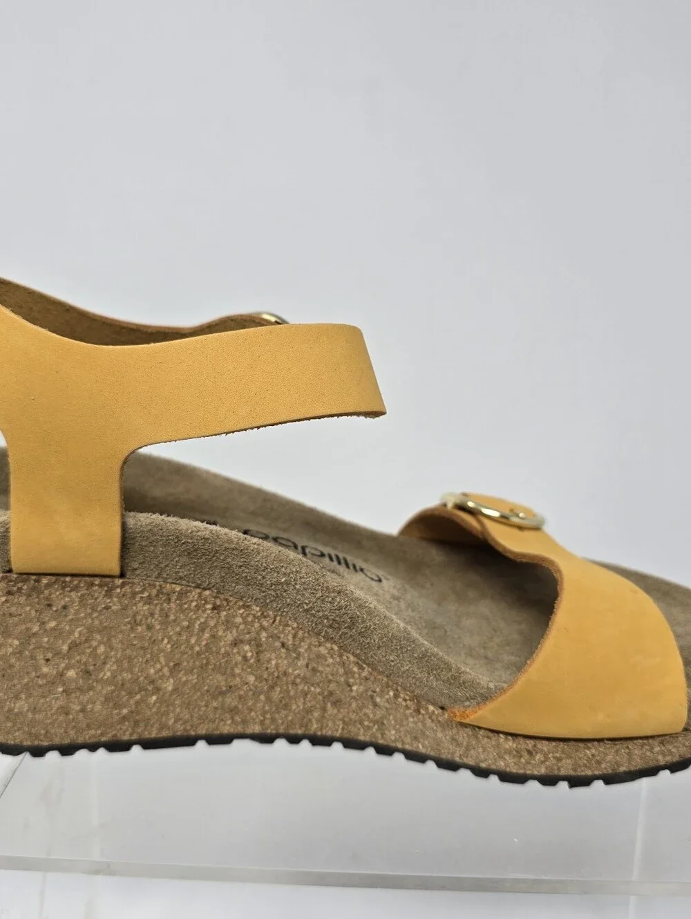 Papillio brand new