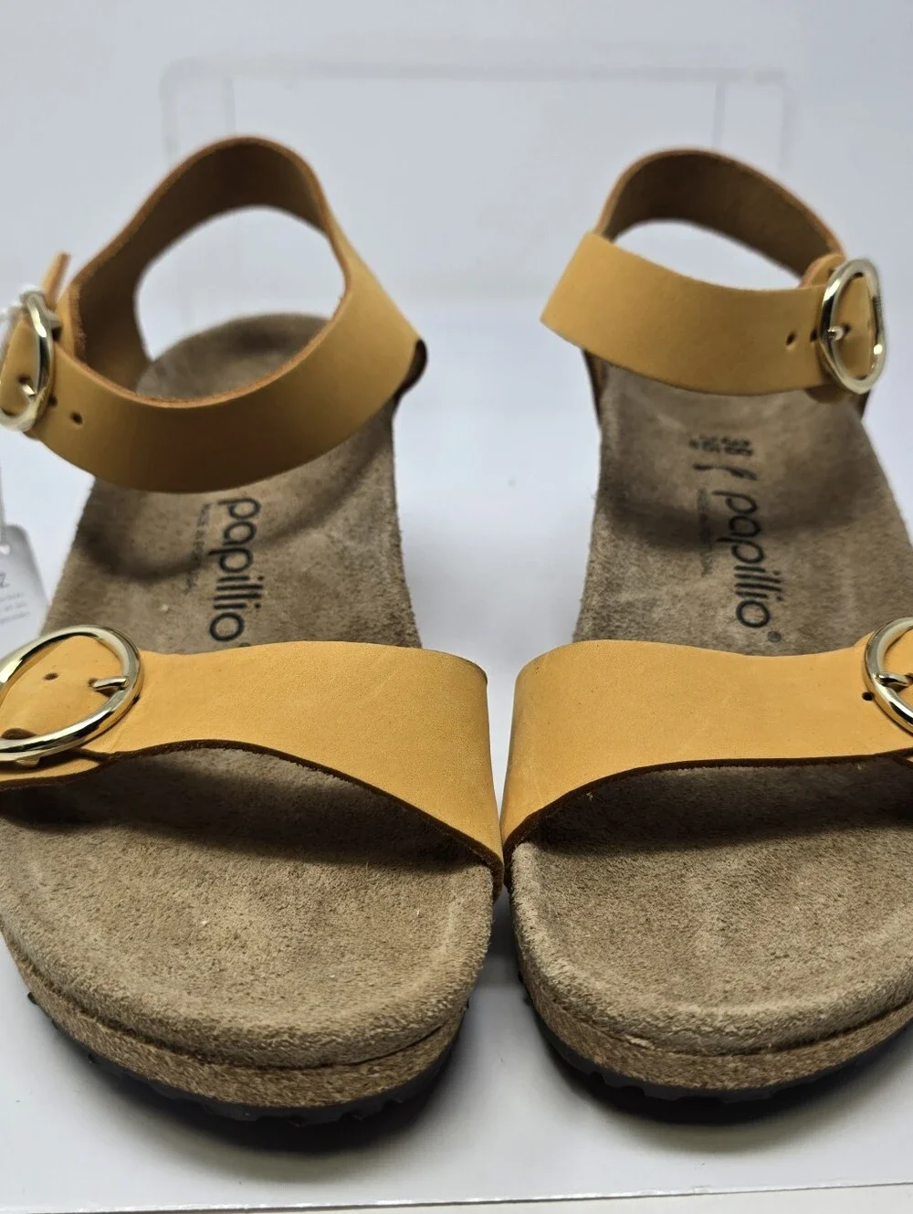 Papillio brand new