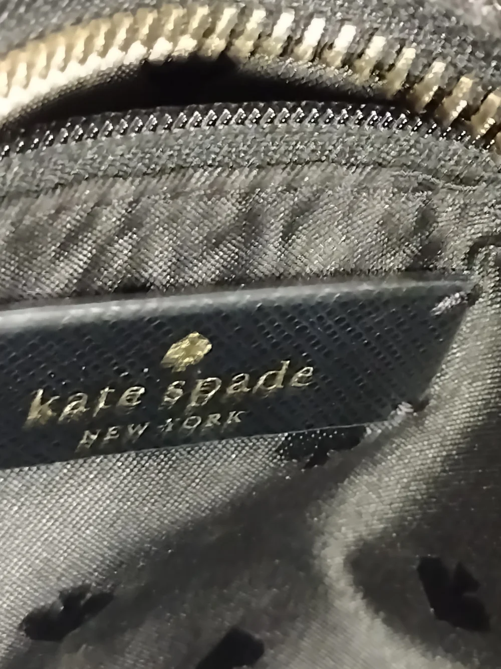 kate spade everyday carry