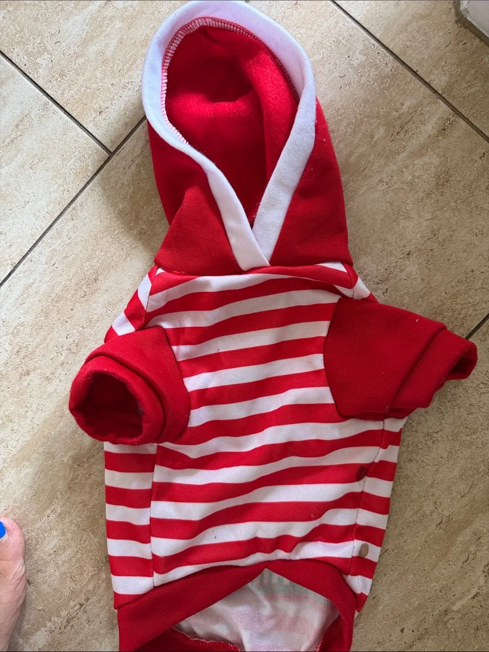 Small Dog Red & White Striped Holiday Dog Hoodie with Green Tree Graphic