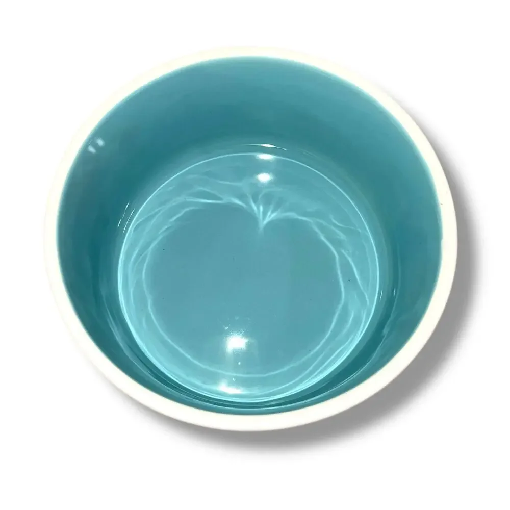 Rae Dunn ceramic nibble