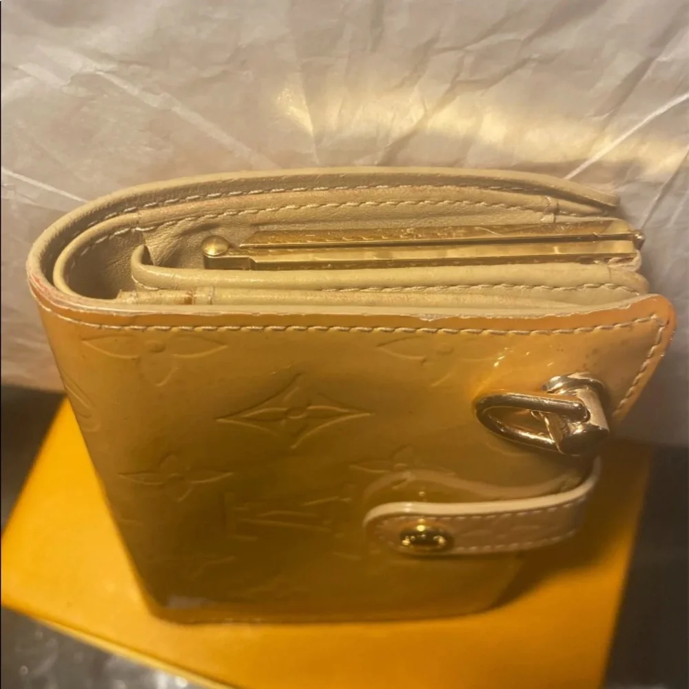 Louis Vuitton authentic louis