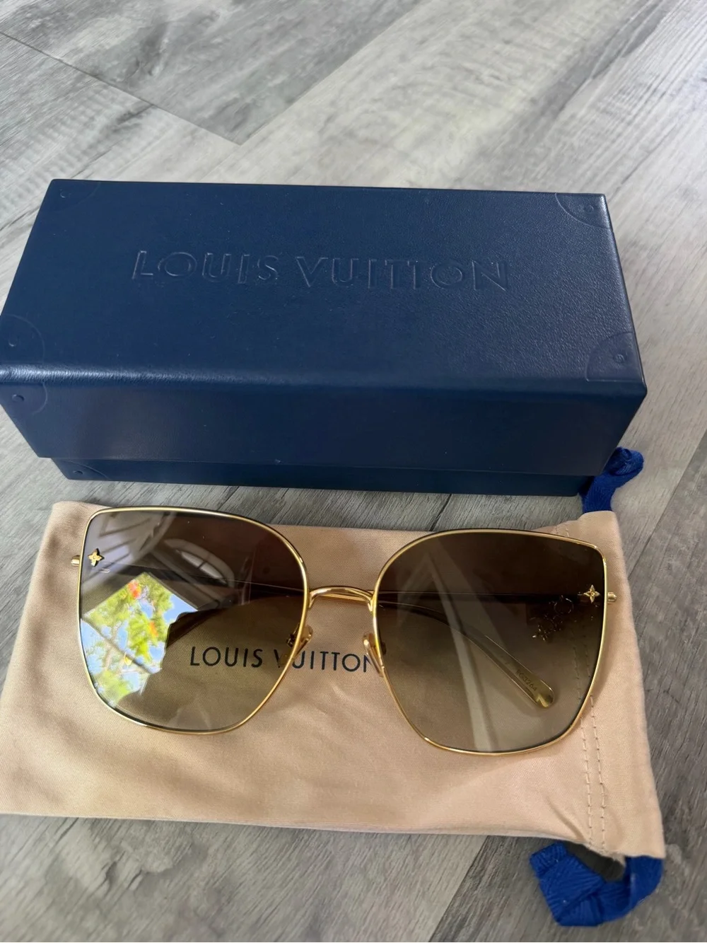 Louis Vuitton elegant louis