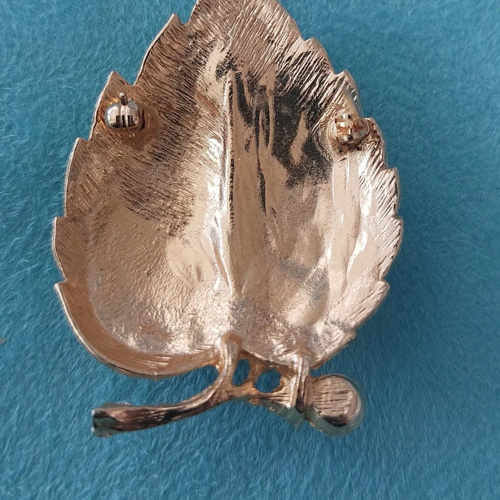 N/A brooch sits