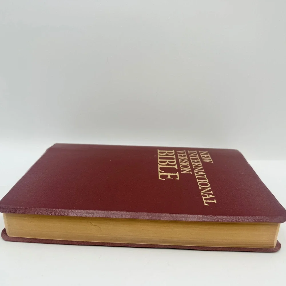 Zondervan new international