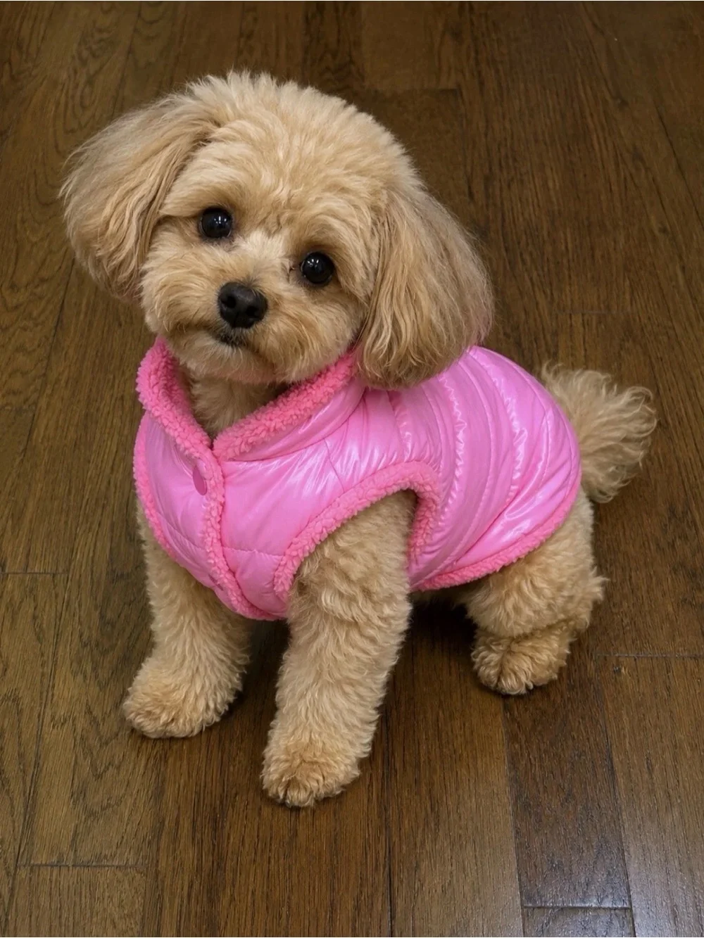 N/A lightweight coat plush