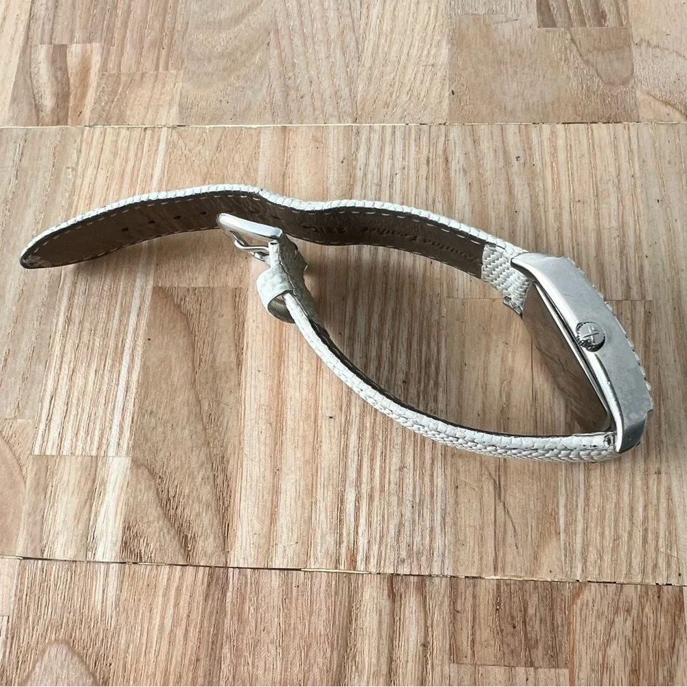 Skagen brand model