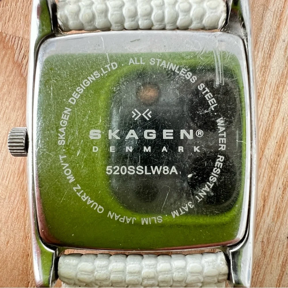 Skagen brand model