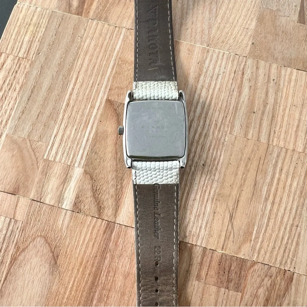 Skagen brand model
